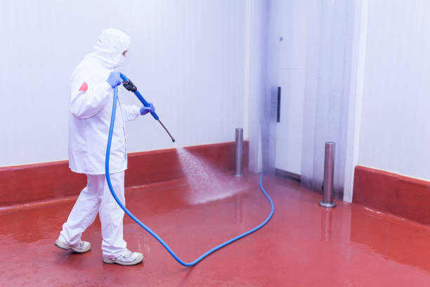 Reliable Blue Mound, IL Pressure Washing Services Solutions